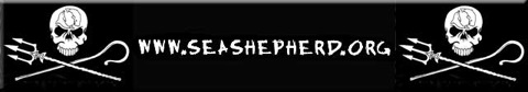 Sea-shepherd-banner