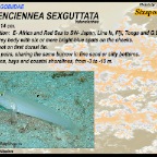 Valenciennea sexguttata - Sixspot