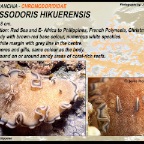 Glossodoris hikuerensis