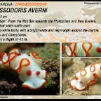 Glossodoris averni
