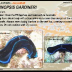 Philinopsis gardineri