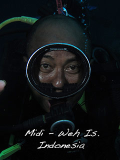 Midi