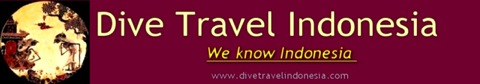 divetravelindonesialogo8
