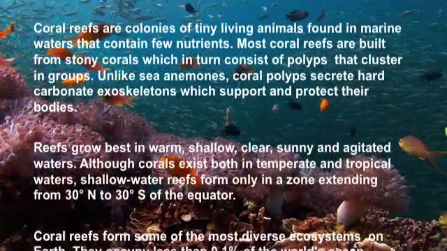 Coral reef.m4v